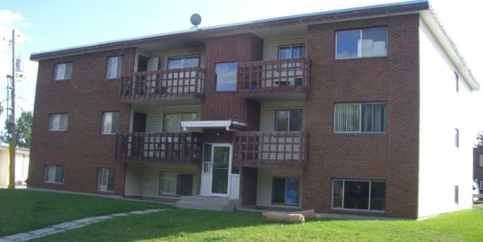3 BEDROOMS APARTMENT WITH NEWER WINDOWS IN HIGHWOOD! CLOSE TO U OF C AND SAIT!