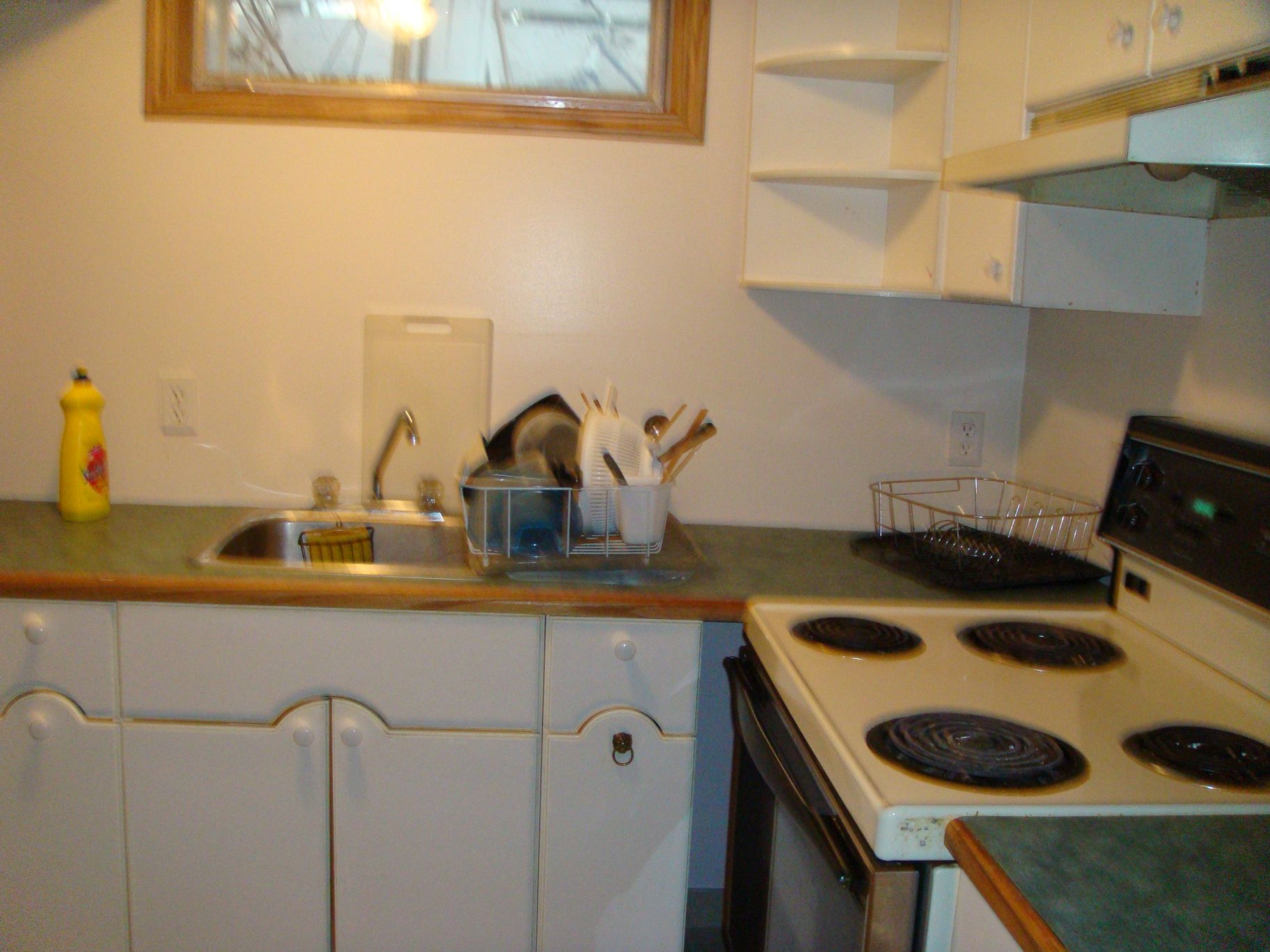 NEWLY RENOVATED 1 BDRM PLUS DEN LOWER SUITE BY UNIVERSITY!