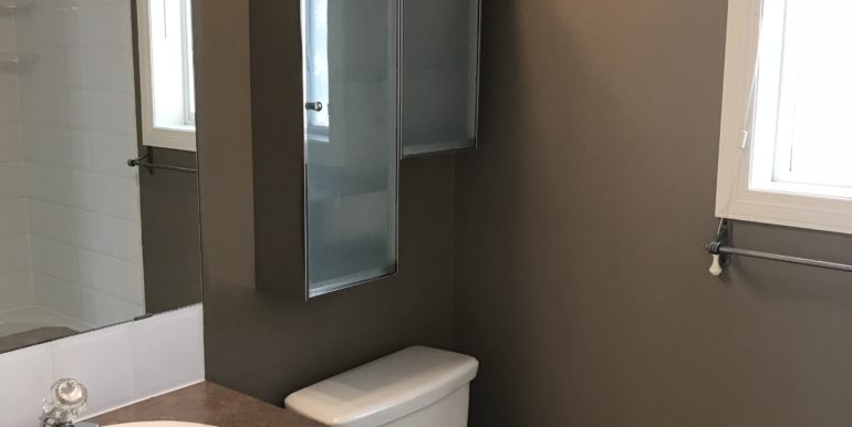 9-main-bathroom-with-shower