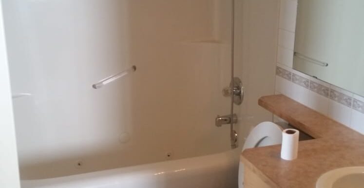 WhatsApp Image 2019-02-11 at 11.24.32 AM (1)