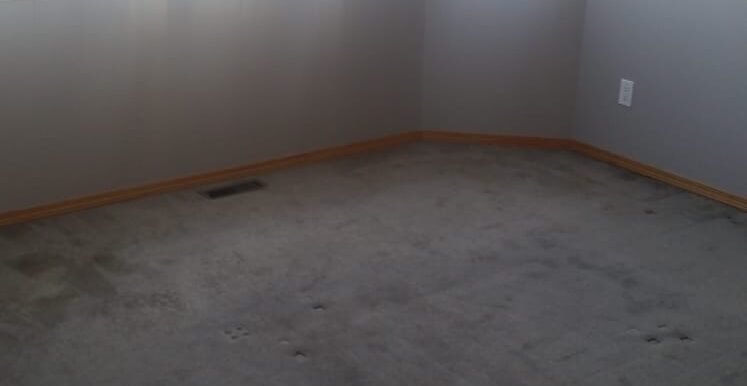 WhatsApp Image 2019-02-11 at 11.24.33 AM (2)