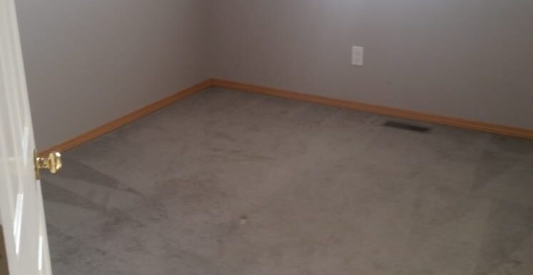 WhatsApp Image 2019-02-11 at 11.24.34 AM