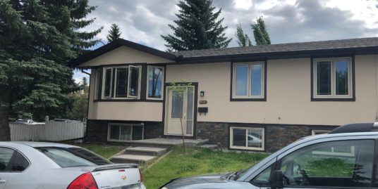 SPACIOUS 2 BDRMS LOWER LEVEL WITH SEP ENTRANCE FOR RENT IN SOUTHWOOD!
