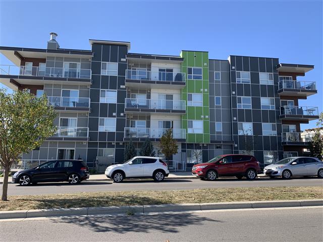 1 BDRM, LIKE NEW CONDO FOR RENT IN SETON