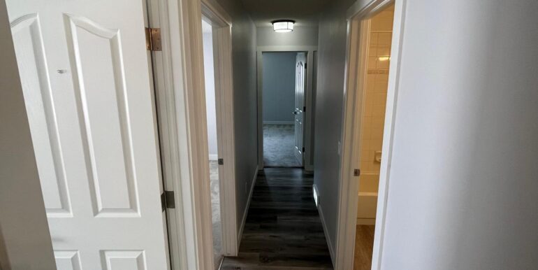 WhatsApp Image 2023-06-30 at 11.16.53