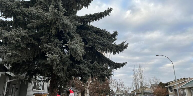 00d5aed8-3cff-47ed-beb4-0c3790049edd