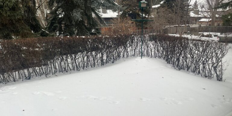 WhatsApp Image 2025-12-02 at 13.49.54 (1)