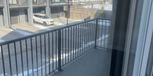 Modern 3 Bedroom + Den Townhouse in Evanston!